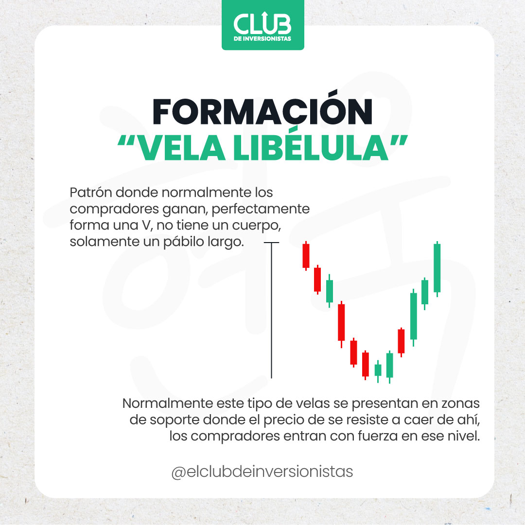 Vela-Lib_lula.jpg